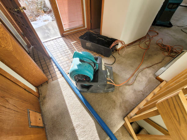 Best Flood damage cleanup  in Buckley, WA