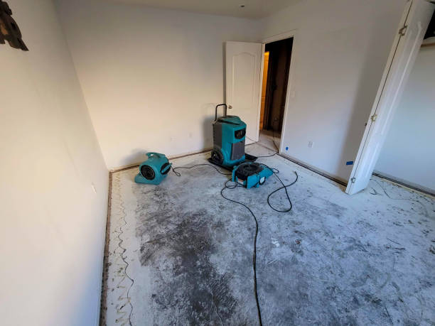  Buckley, WA Water damage restoration Pros