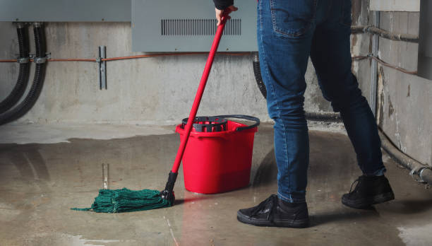 Best Mold removal after water damage  in Buckley, WA