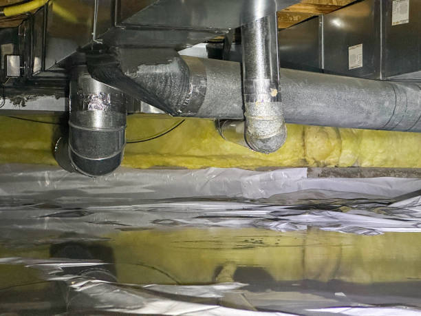 Best Water damage restoration near me  in Buckley, WA