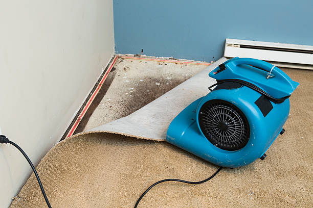 Best 24/7 water damage repair  in Buckley, WA